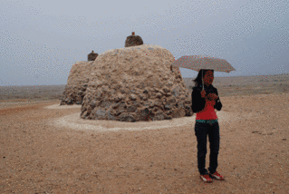 砂漠の雨の画像