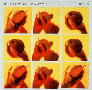 オーロラになれなかった人のためにの画像