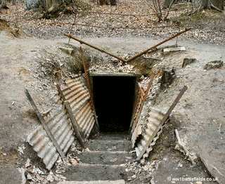 DUG OUTの画像