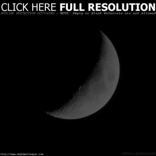 HALF MOONの画像