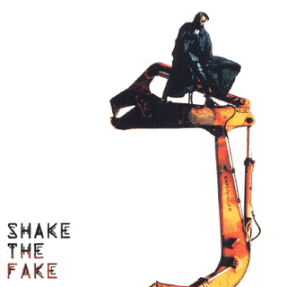 SHAKE THE FAKEの画像
