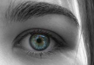 REAL EYESの画像