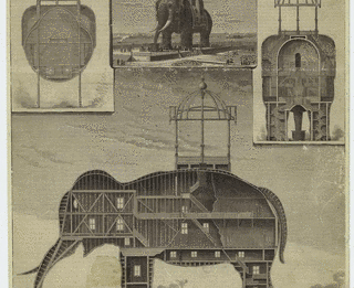 ELEPHANT HOTELの画像
