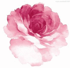 WATER COLORSの画像