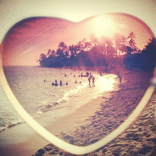 SUMMER LOVEの画像
