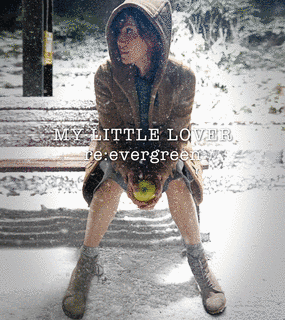 EVERGREENの画像