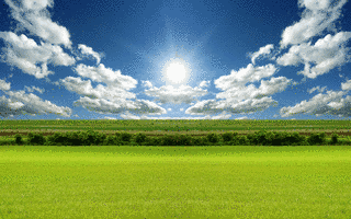 BRIGHT DAYSの画像