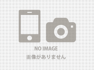 ANTIQUE 96の画像