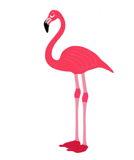 FLAMINGOの画像