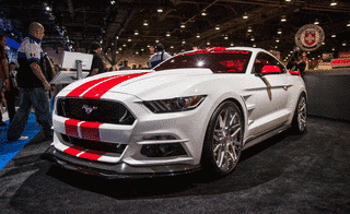 MUSTANG!の画像