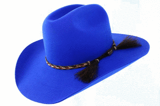 BLUE HATSの画像