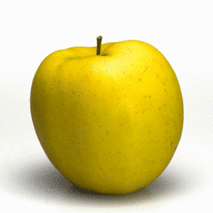 GOLDEN DELICIOUSの画像