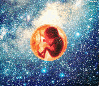 BABY UNIVERSEの画像