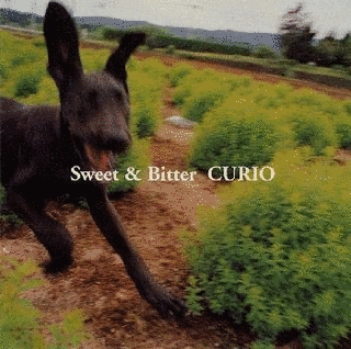 SWEET & BITTERの画像