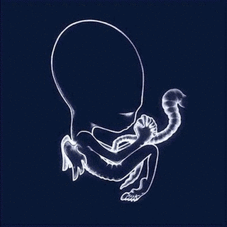 アゲイティス・ビリュンの画像