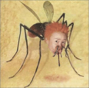 毒気の画像