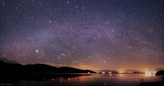 WINTER STARの画像
