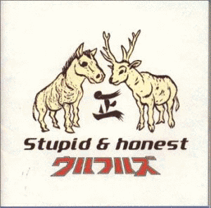 STUPID&HONESTの画像