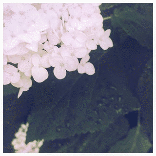 THE FIRST DAY OF SUMMERの画像