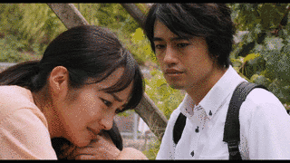 あすなろの画像