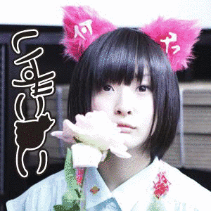 いずこねこの画像