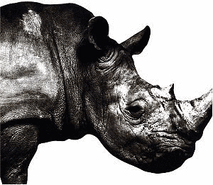 MR.CHILDREN 1992-1995の画像