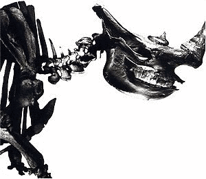 MR.CHILDREN 1996-2000の画像