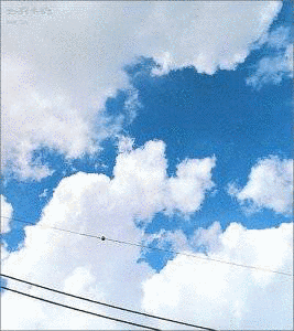 BEST SKYの画像