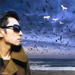 ロデオ・タンデム・ビート・スペクターの画像
