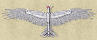 ANGEL BEETLEの画像