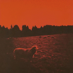 HELL-SEEの画像
