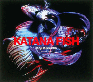 KATANA FISHの画像
