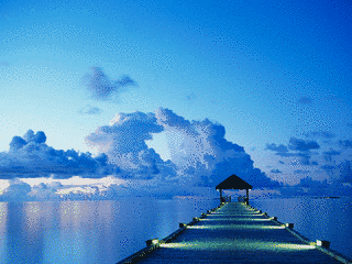 夏景色の画像