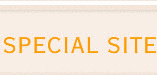 S.F. SOUND FURNITUREの画像