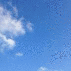 CLEAR SKYの画像