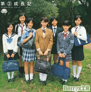 第(2)成長記の画像