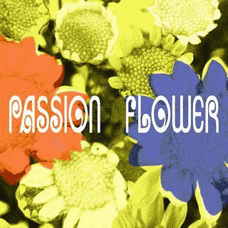 PASSION FLOWERの画像