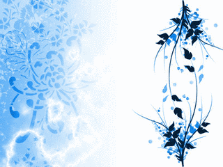 WHITE AND BLUEの画像