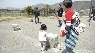 毎日の環境学: ECOLOGY OF EVERYDAY LIFEの画像