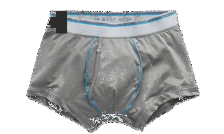 UNDERWEARの画像