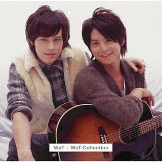 WAT COLLECTIONの画像
