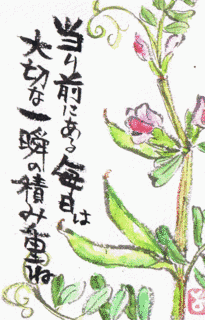手紙日和の画像