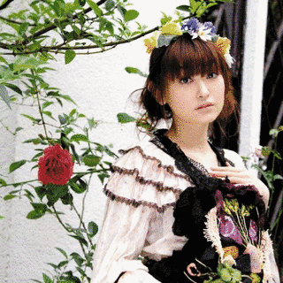 SINCERELY DEARS...の画像
