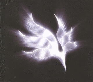 ORBITAL PERIODの画像