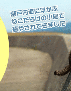 JOYの画像