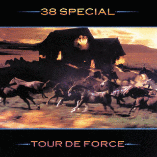 SPECIAL FORCEの画像