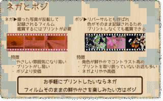 ネガとポジの画像
