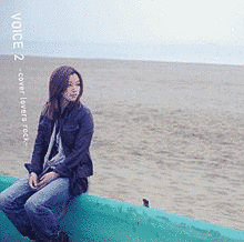 VOICE 2〜COVER LOVERS ROCK〜の画像