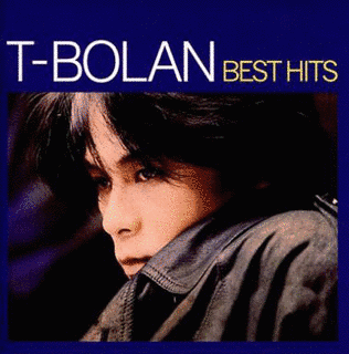 T-BOLAN BEST HITSの画像