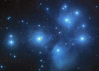 PLEIADESの画像